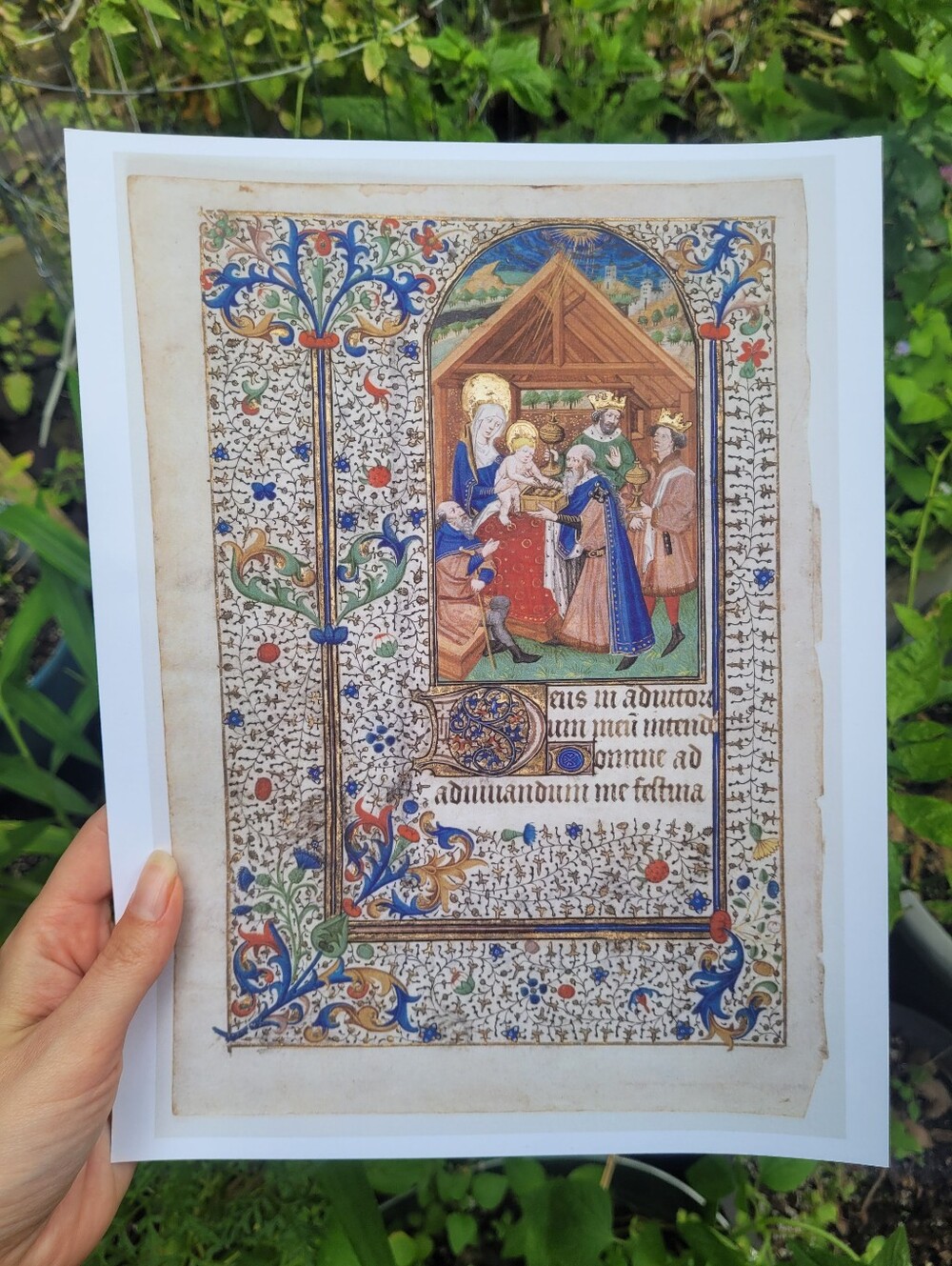 Illuminated Manuscript Reproduction Art Print - 8.5x11